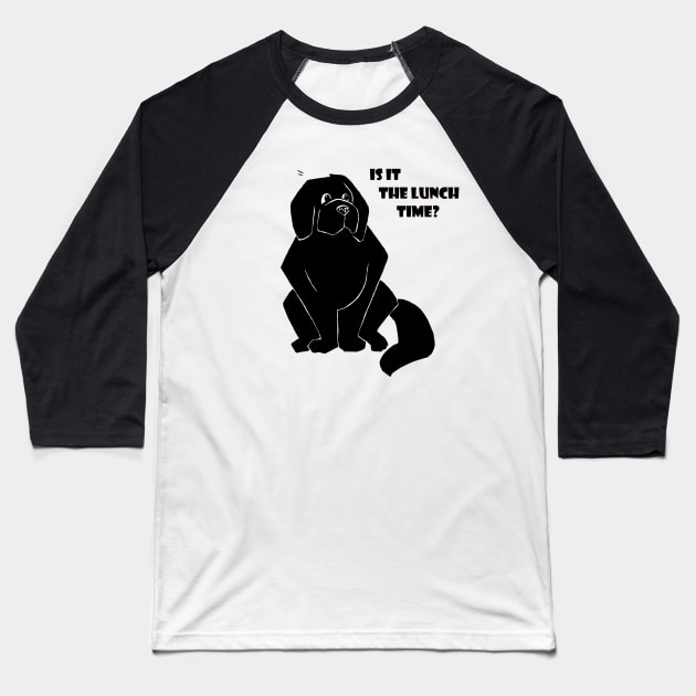 Newfie "Is it the lunch time?" Baseball T-Shirt by The Booby